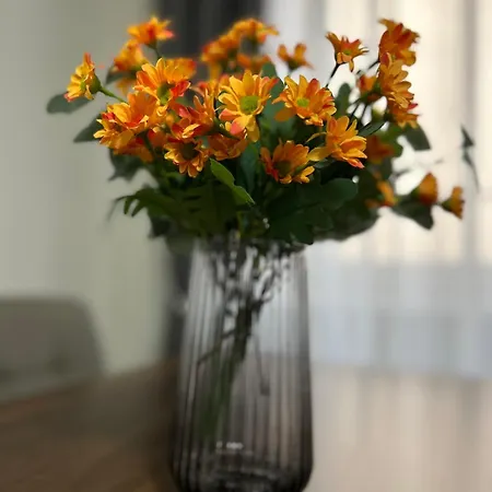 Timco With Big Terrace, Partial View And Air-conditioner Торно